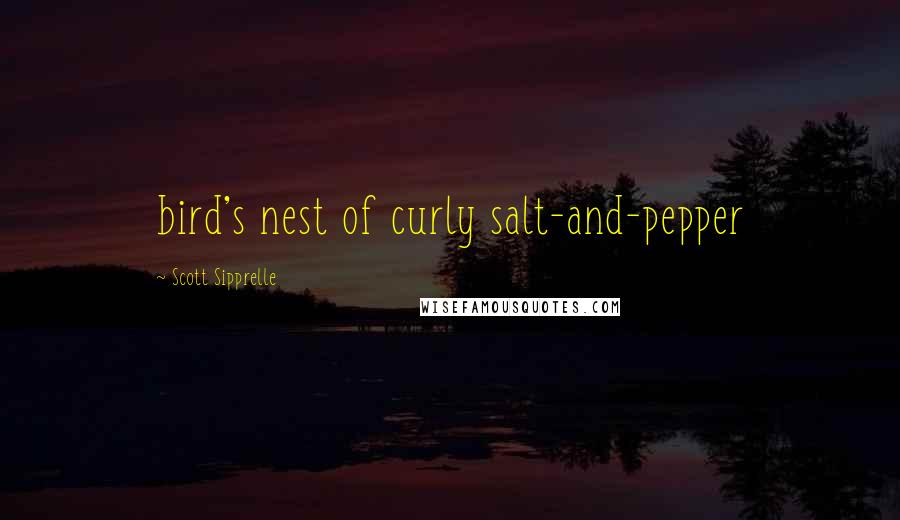 Scott Sipprelle Quotes: bird's nest of curly salt-and-pepper