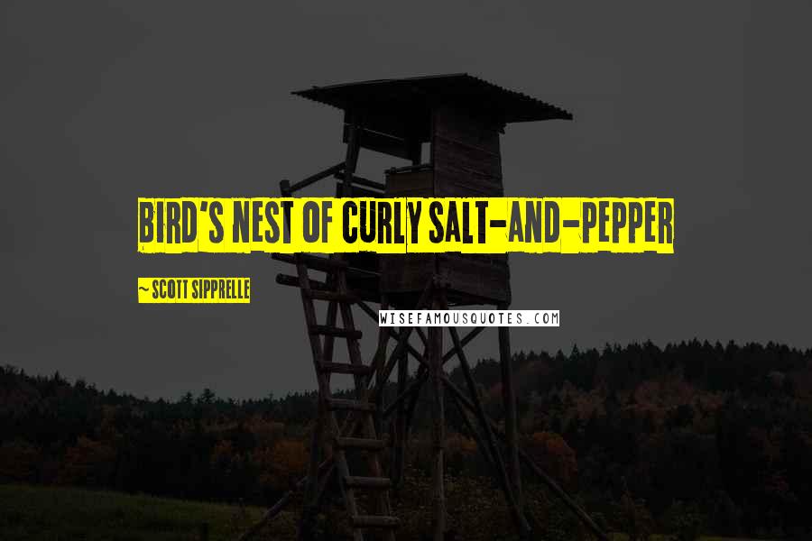 Scott Sipprelle Quotes: bird's nest of curly salt-and-pepper