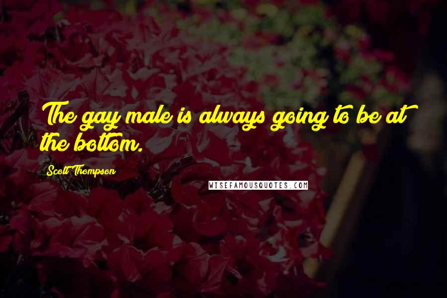 Scott Thompson Quotes: The gay male is always going to be at the bottom.
