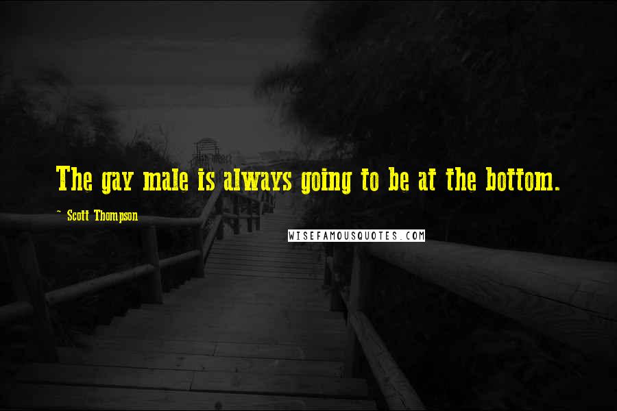 Scott Thompson Quotes: The gay male is always going to be at the bottom.