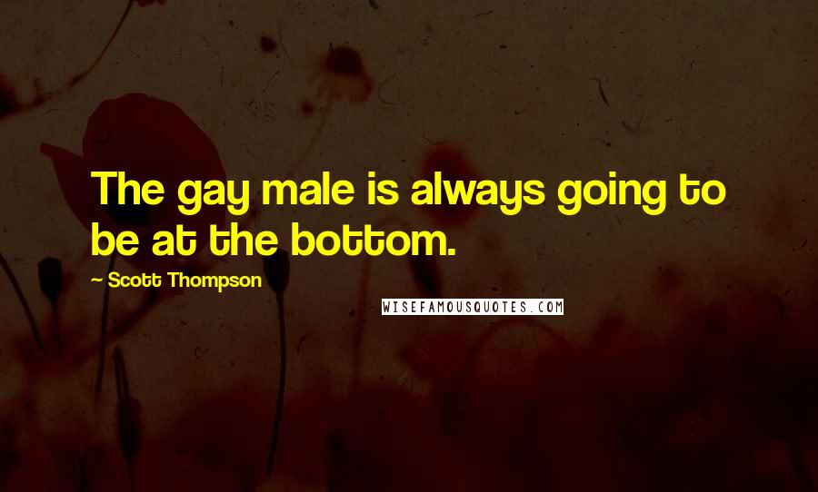 Scott Thompson Quotes: The gay male is always going to be at the bottom.