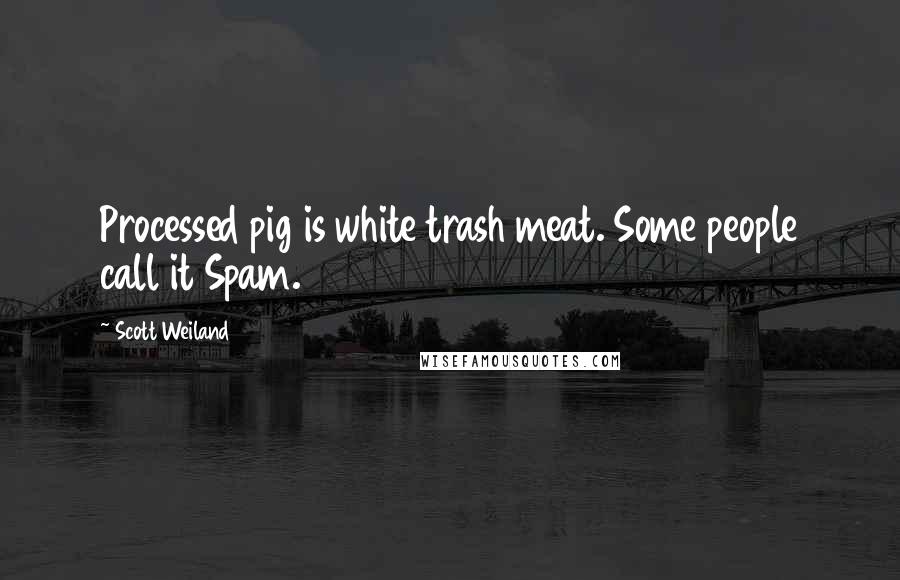 Scott Weiland Quotes: Processed pig is white trash meat. Some people call it Spam.