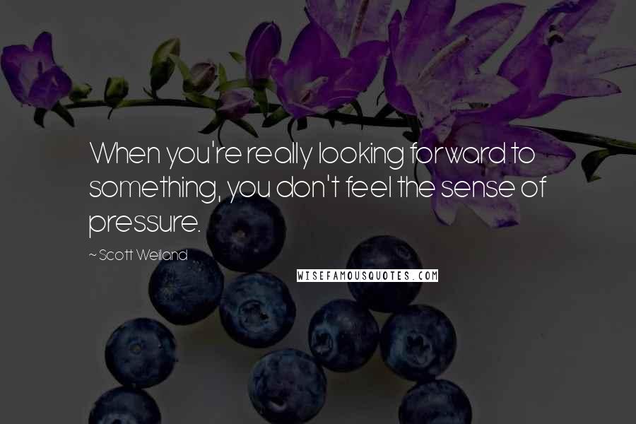 Scott Weiland Quotes: When you're really looking forward to something, you don't feel the sense of pressure.