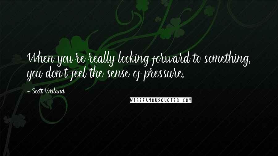 Scott Weiland Quotes: When you're really looking forward to something, you don't feel the sense of pressure.