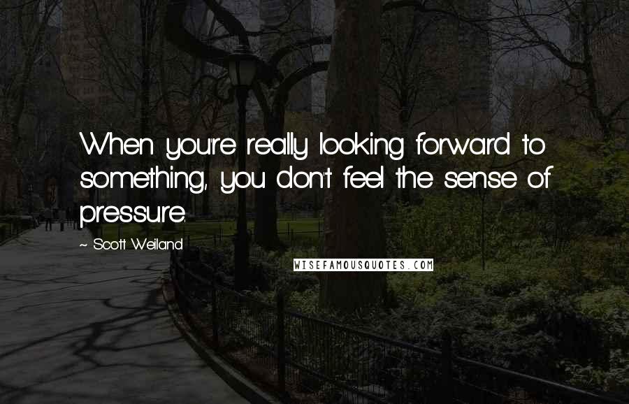 Scott Weiland Quotes: When you're really looking forward to something, you don't feel the sense of pressure.