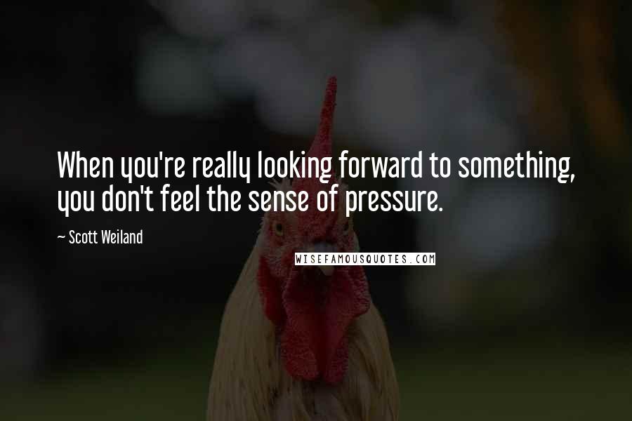 Scott Weiland Quotes: When you're really looking forward to something, you don't feel the sense of pressure.