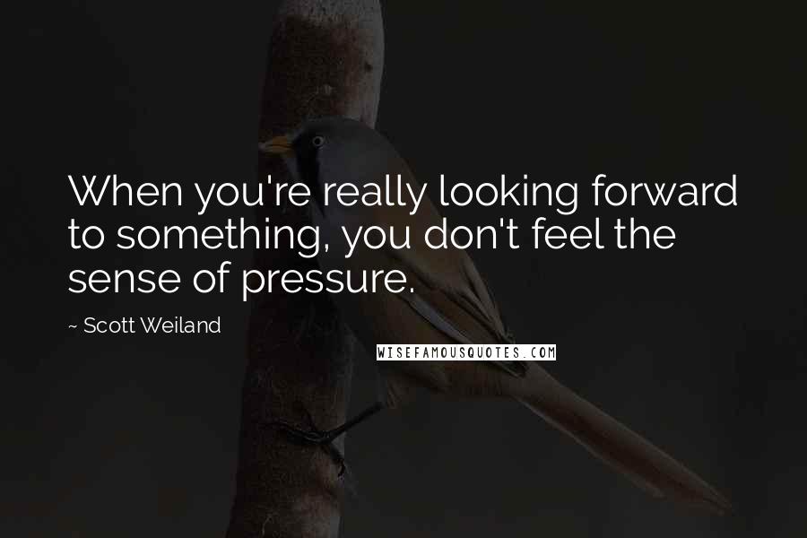 Scott Weiland Quotes: When you're really looking forward to something, you don't feel the sense of pressure.