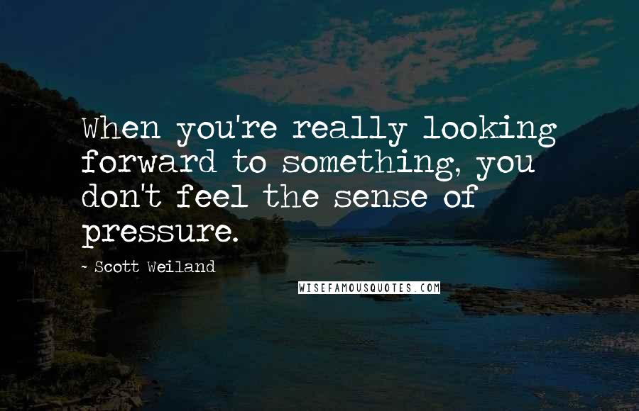 Scott Weiland Quotes: When you're really looking forward to something, you don't feel the sense of pressure.