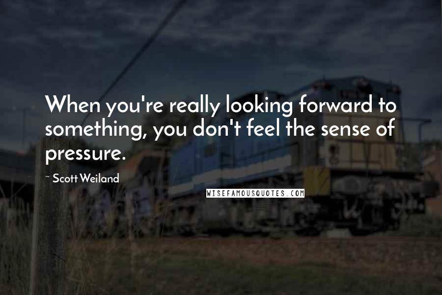 Scott Weiland Quotes: When you're really looking forward to something, you don't feel the sense of pressure.