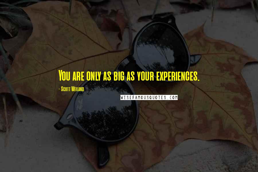 Scott Weiland Quotes: You are only as big as your experiences.