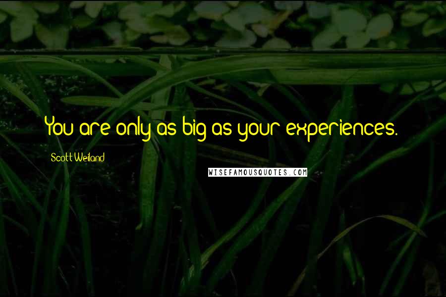 Scott Weiland Quotes: You are only as big as your experiences.