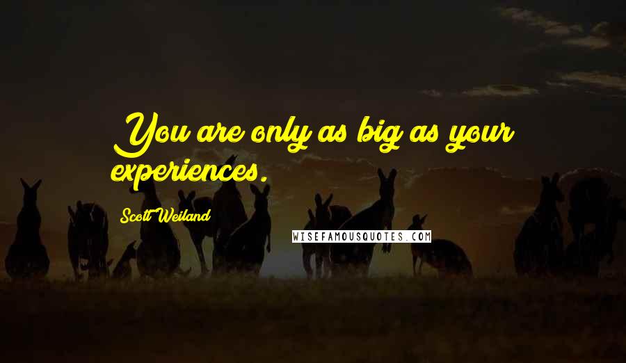 Scott Weiland Quotes: You are only as big as your experiences.