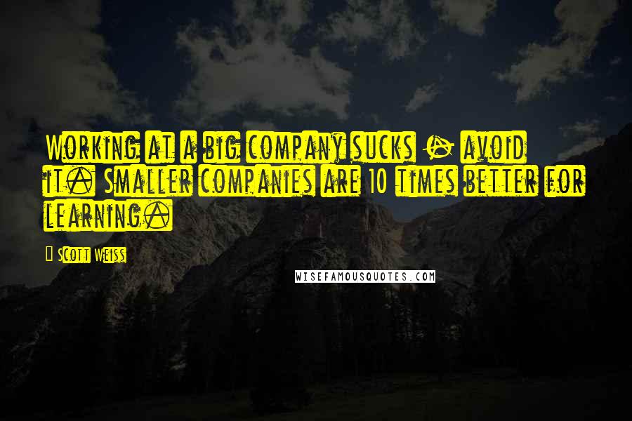 Scott Weiss Quotes: Working at a big company sucks - avoid it. Smaller companies are 10 times better for learning.