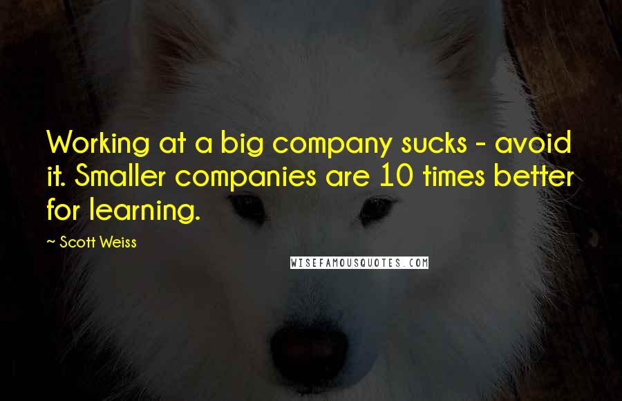 Scott Weiss Quotes: Working at a big company sucks - avoid it. Smaller companies are 10 times better for learning.