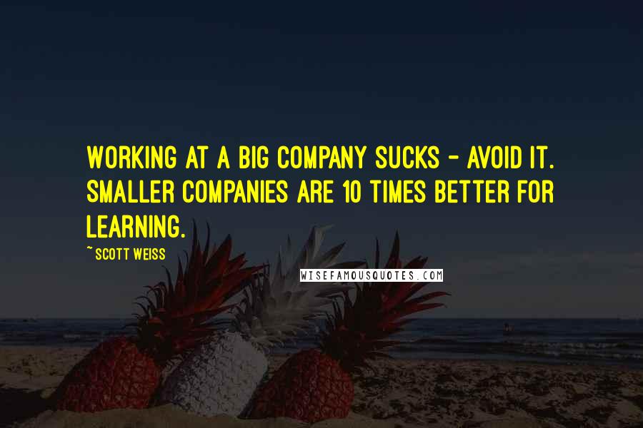 Scott Weiss Quotes: Working at a big company sucks - avoid it. Smaller companies are 10 times better for learning.