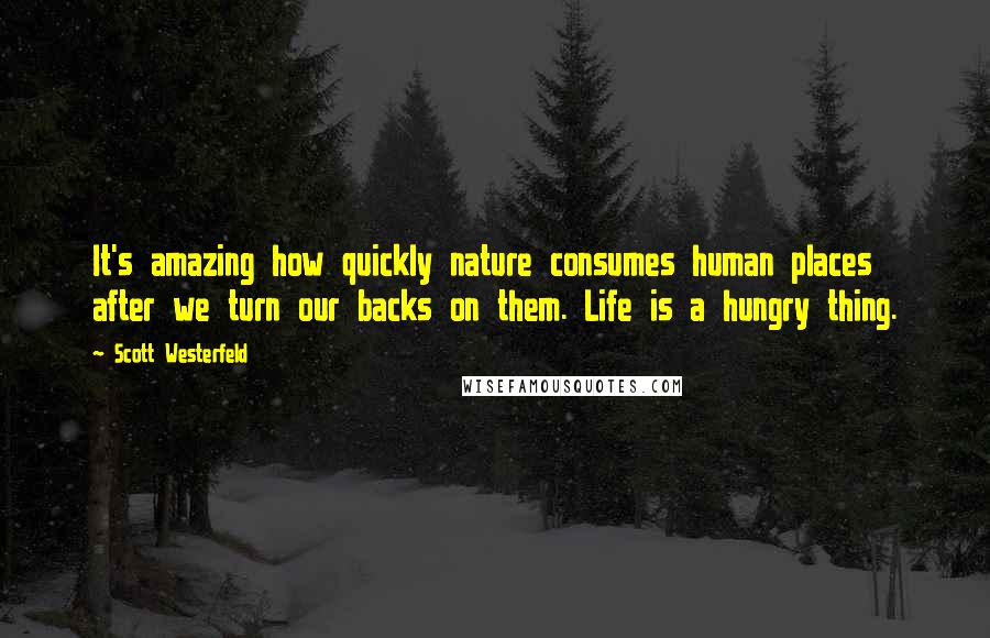 Scott Westerfeld Quotes: It's amazing how quickly nature consumes human places after we turn our backs on them. Life is a hungry thing.