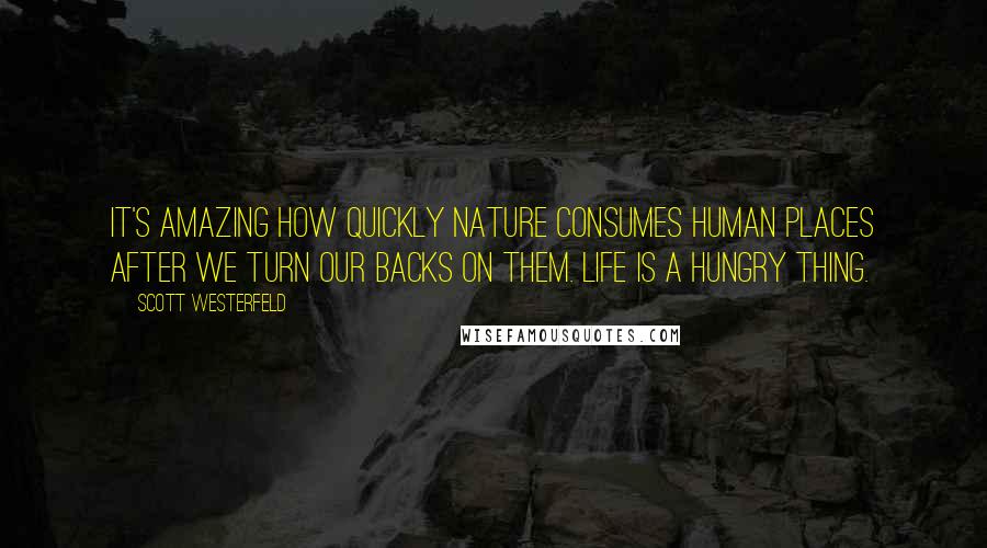 Scott Westerfeld Quotes: It's amazing how quickly nature consumes human places after we turn our backs on them. Life is a hungry thing.