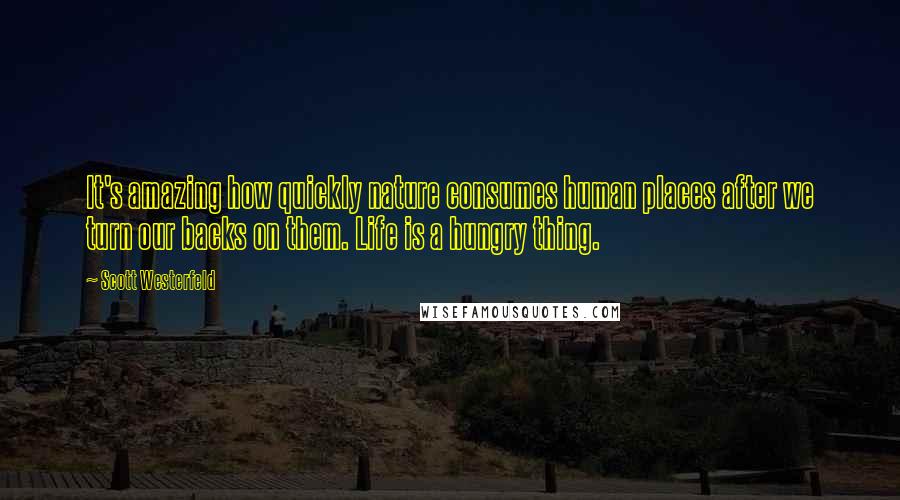 Scott Westerfeld Quotes: It's amazing how quickly nature consumes human places after we turn our backs on them. Life is a hungry thing.