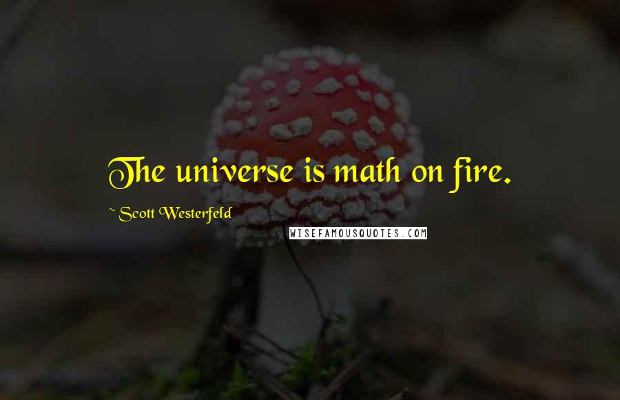Scott Westerfeld Quotes: The universe is math on fire.