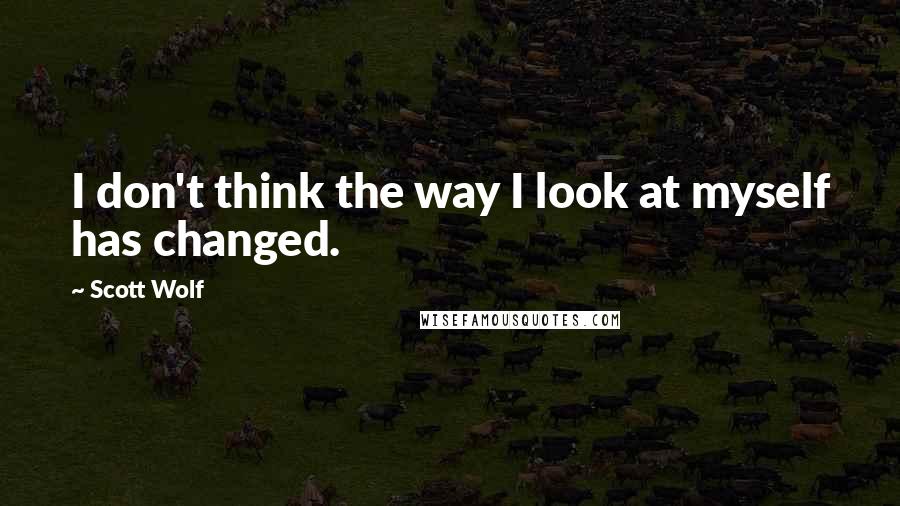 Scott Wolf Quotes: I don't think the way I look at myself has changed.