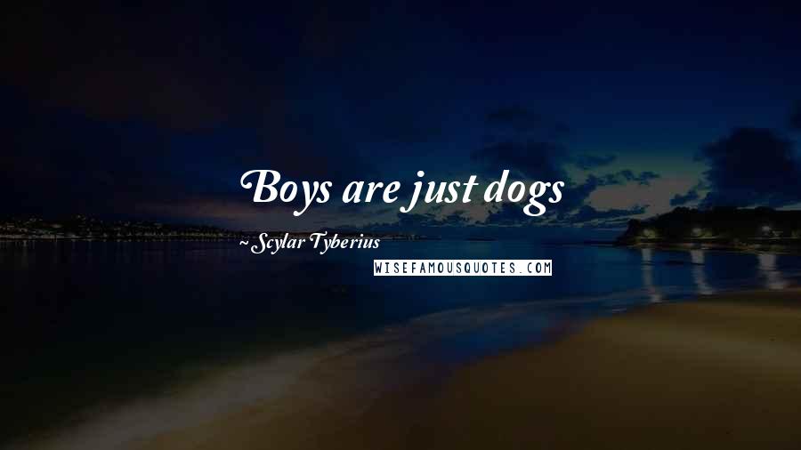 Scylar Tyberius Quotes: Boys are just dogs