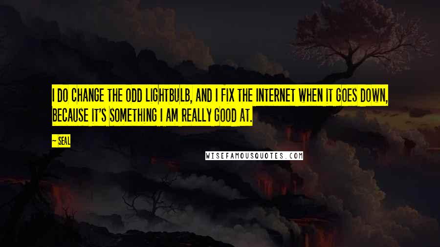 Seal Quotes: I do change the odd lightbulb, and I fix the Internet when it goes down, because it's something I am really good at.