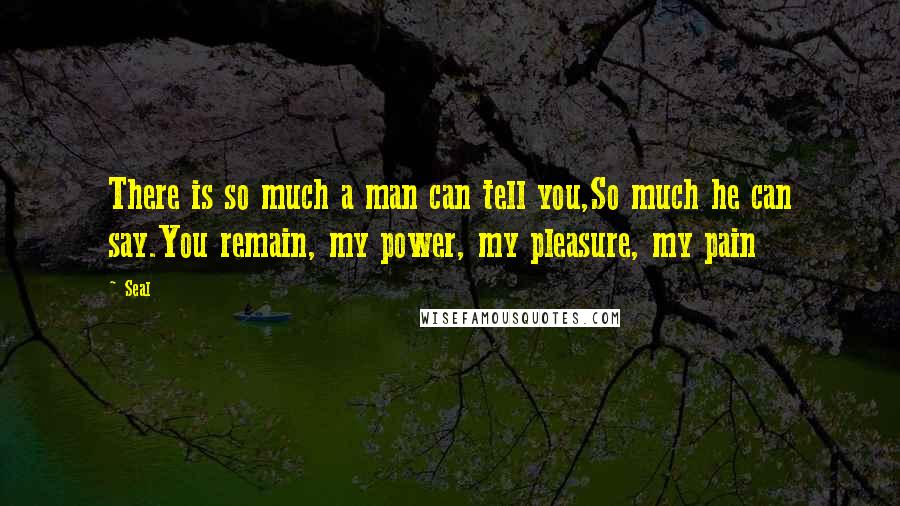 Seal Quotes: There is so much a man can tell you,So much he can say.You remain, my power, my pleasure, my pain