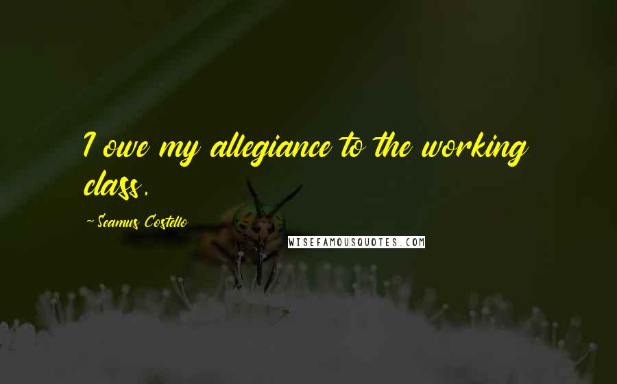 Seamus Costello Quotes: I owe my allegiance to the working class.