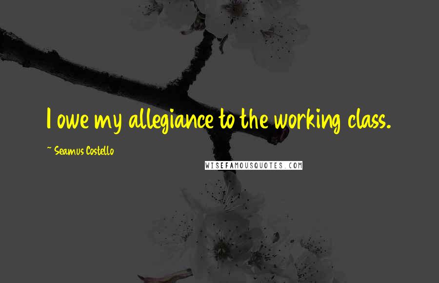 Seamus Costello Quotes: I owe my allegiance to the working class.