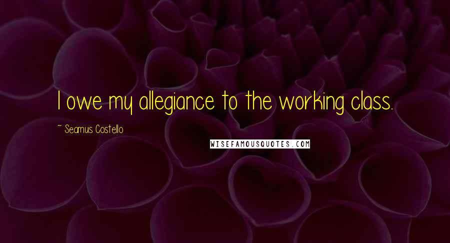 Seamus Costello Quotes: I owe my allegiance to the working class.