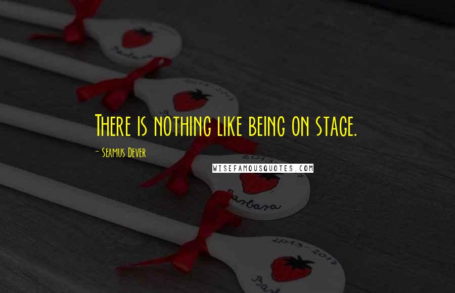 Seamus Dever Quotes: There is nothing like being on stage.