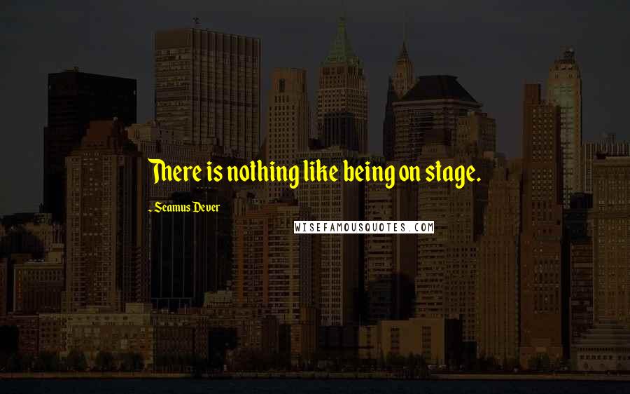 Seamus Dever Quotes: There is nothing like being on stage.