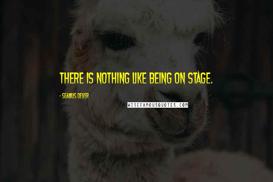 Seamus Dever Quotes: There is nothing like being on stage.