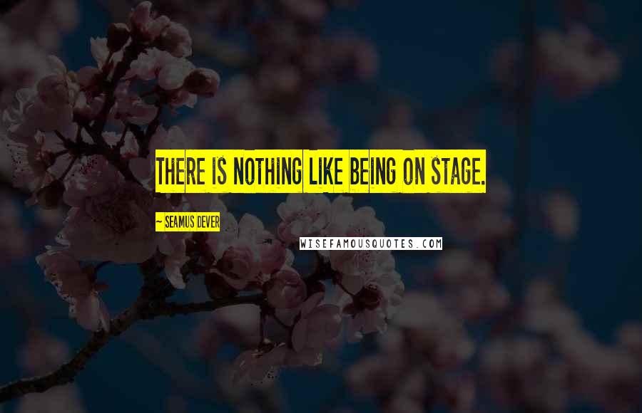 Seamus Dever Quotes: There is nothing like being on stage.