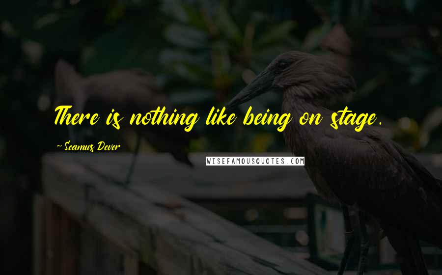 Seamus Dever Quotes: There is nothing like being on stage.