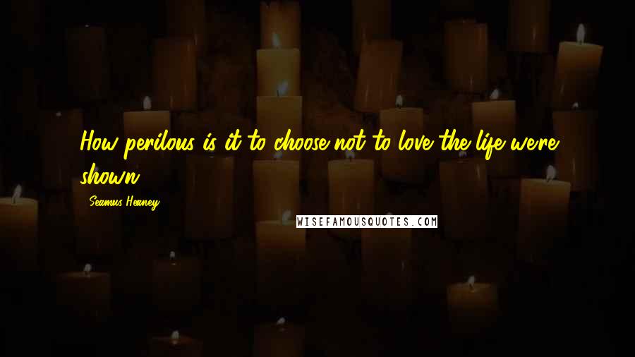 Seamus Heaney Quotes: How perilous is it to choose not to love the life we're shown?