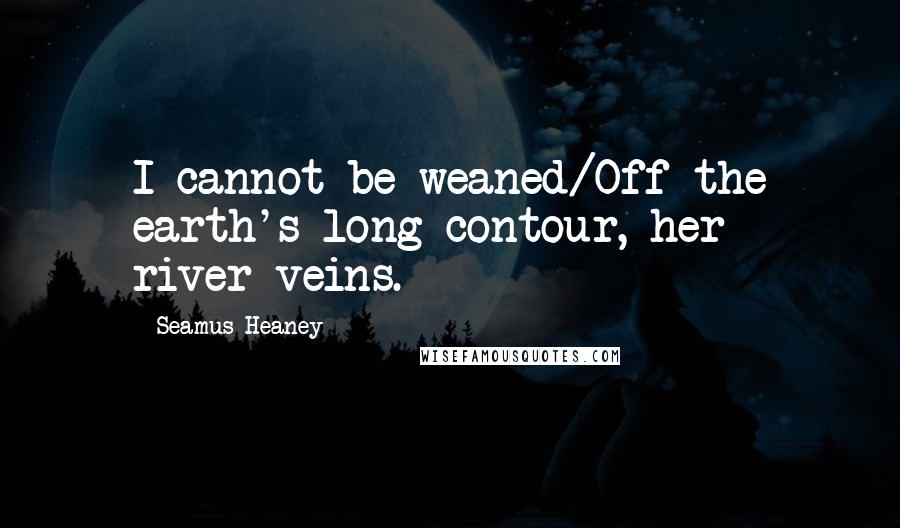 Seamus Heaney Quotes: I cannot be weaned/Off the earth's long contour, her river-veins.