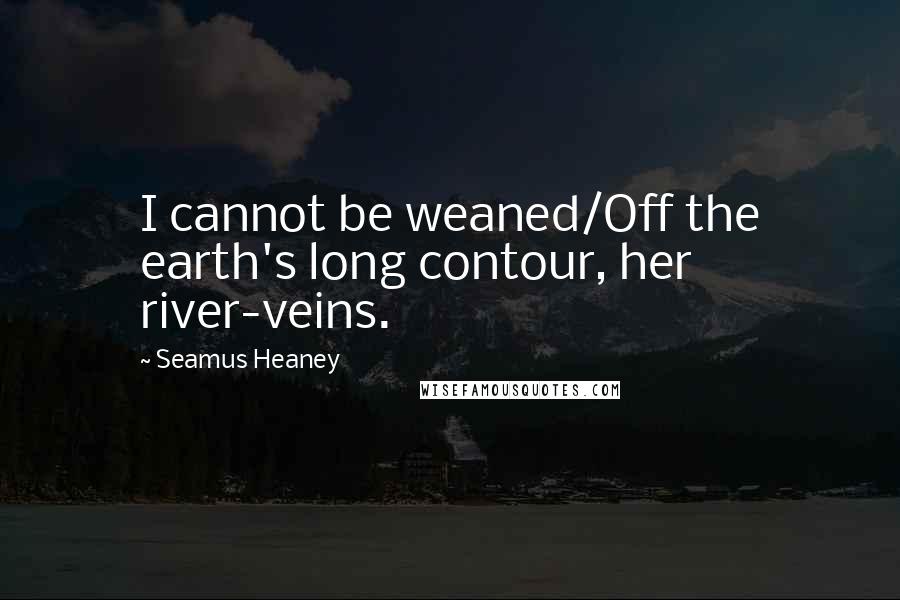 Seamus Heaney Quotes: I cannot be weaned/Off the earth's long contour, her river-veins.