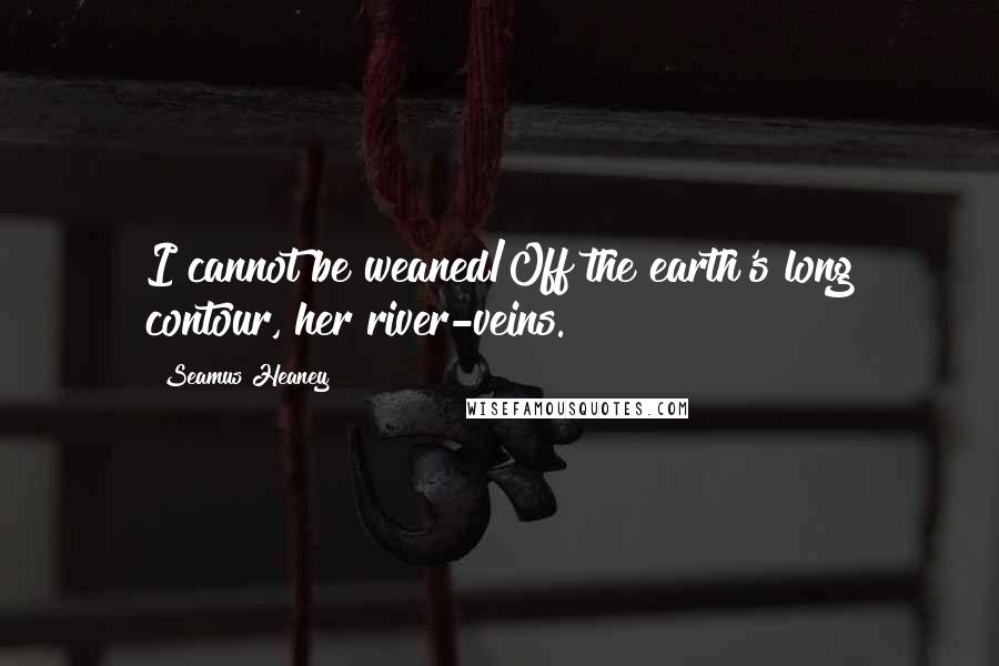 Seamus Heaney Quotes: I cannot be weaned/Off the earth's long contour, her river-veins.