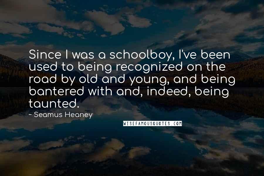 Seamus Heaney Quotes: Since I was a schoolboy, I've been used to being recognized on the road by old and young, and being bantered with and, indeed, being taunted.