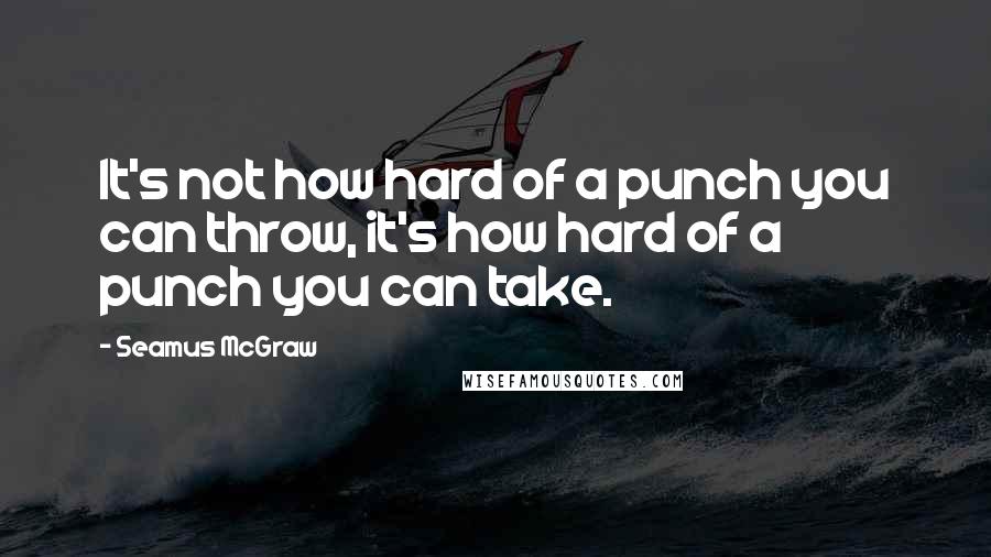 Seamus McGraw Quotes: It's not how hard of a punch you can throw, it's how hard of a punch you can take.