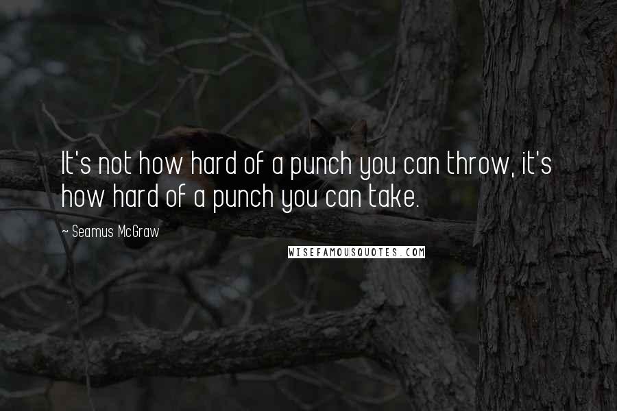 Seamus McGraw Quotes: It's not how hard of a punch you can throw, it's how hard of a punch you can take.