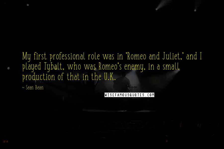 Sean Bean Quotes: My first professional role was in 'Romeo and Juliet,' and I played Tybalt, who was Romeo's enemy, in a small production of that in the U.K.