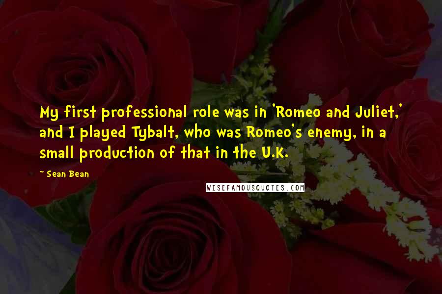 Sean Bean Quotes: My first professional role was in 'Romeo and Juliet,' and I played Tybalt, who was Romeo's enemy, in a small production of that in the U.K.