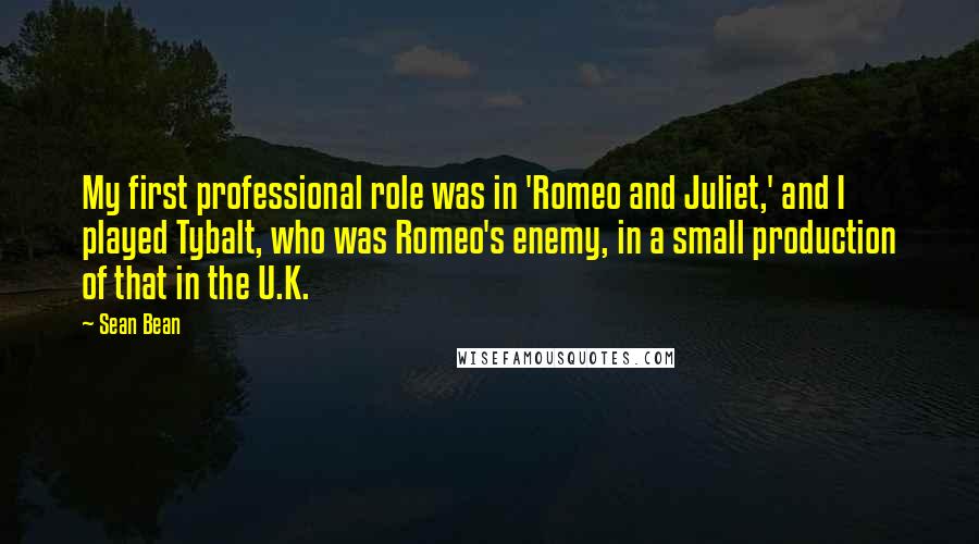 Sean Bean Quotes: My first professional role was in 'Romeo and Juliet,' and I played Tybalt, who was Romeo's enemy, in a small production of that in the U.K.