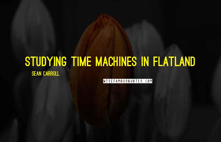 Sean Carroll Quotes: STUDYING TIME MACHINES IN FLATLAND