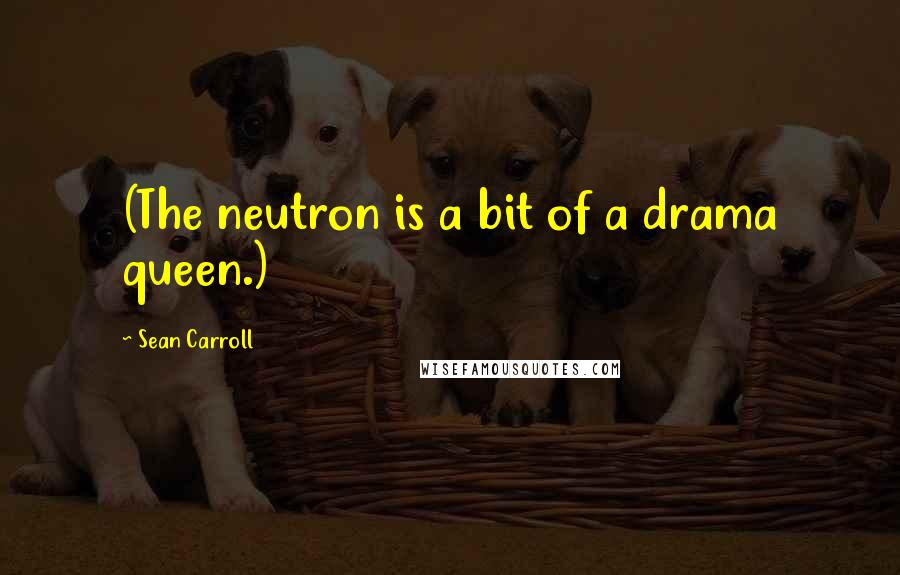 Sean Carroll Quotes: (The neutron is a bit of a drama queen.)