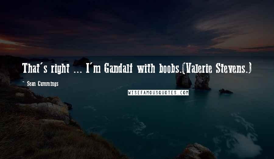 Sean Cummings Quotes: That's right ... I'm Gandalf with boobs.(Valerie Stevens.)