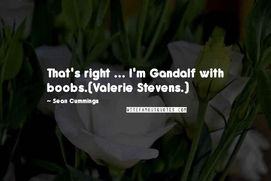 Sean Cummings Quotes: That's right ... I'm Gandalf with boobs.(Valerie Stevens.)