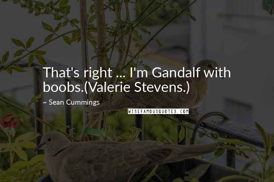 Sean Cummings Quotes: That's right ... I'm Gandalf with boobs.(Valerie Stevens.)